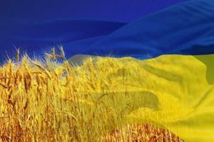 Перевод документов с украинского на русский